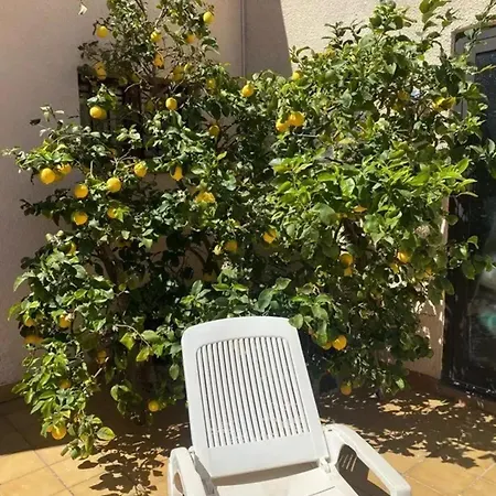Vue Mer Banyuls-Sur-Mer Apartment